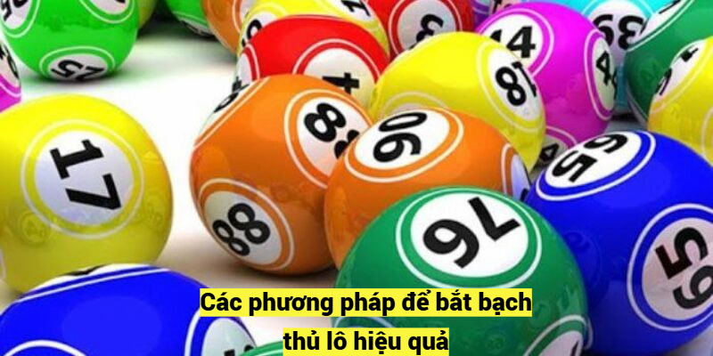 Các phương pháp để bắt bạch thủ lô hiệu quả