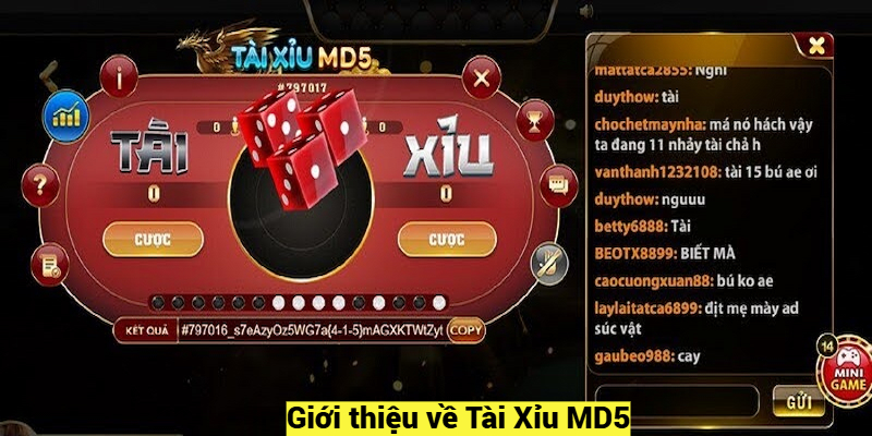 Giới thiệu về Tài Xỉu MD5