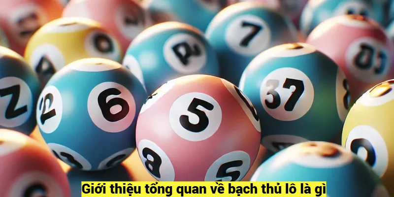 Giới thiệu tổng quan về bạch thủ lô là gì?