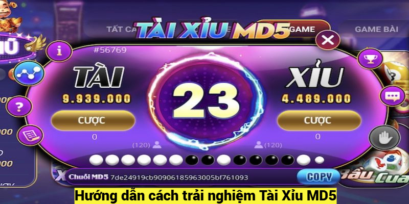 Hướng dẫn cách trải nghiệm Tài Xỉu MD5