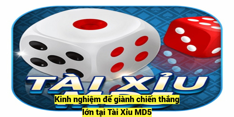 Kinh nghiệm để giành chiến thắng lớn tại Tài Xỉu MD5