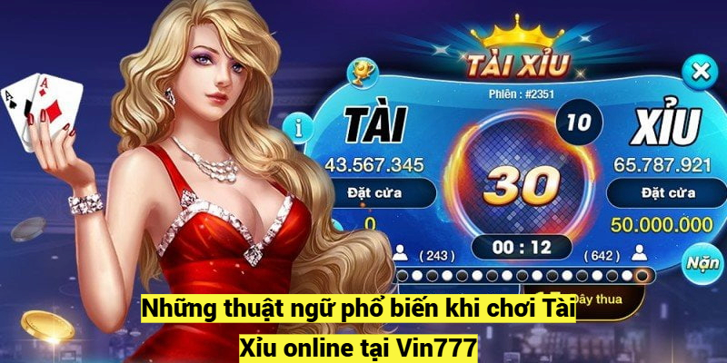 Những thuật ngữ phổ biến khi chơi Tài Xỉu online tại Vin777