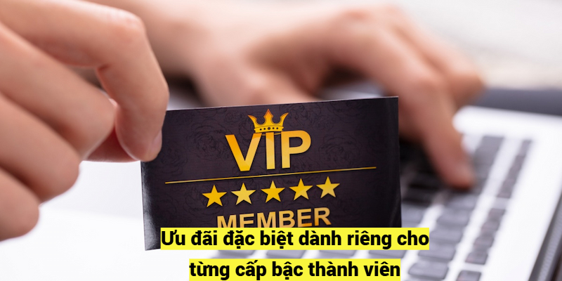 Ưu đãi đặc biệt dành riêng cho từng cấp bậc thành viên